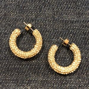 Brighton crystal encrusted hoop earrings